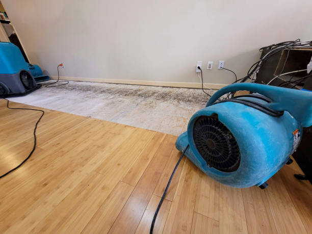 Professional Water Removal technician working in Englewood, FL